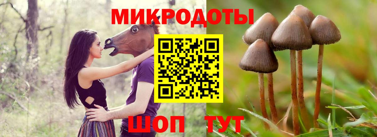 Галлюциногенные грибы Psilocybine cubensis  Вход с VPN  как найти закладки  Чита 