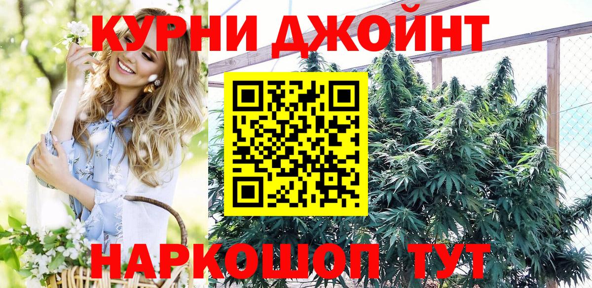 Бошки марихуана планчик  Вход с VPN  Шишки марихуана THC 21%  Чита 